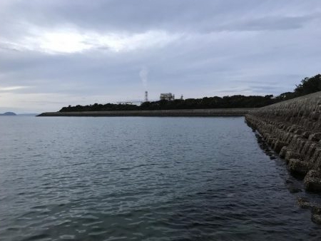 1時間限定メバリング