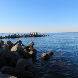 新年初釣りは不発