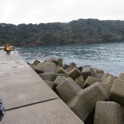想定外の雨天釣行