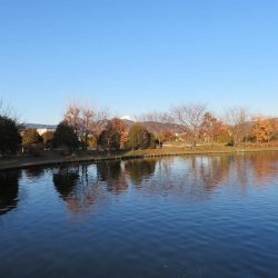 久しぶりの開成釣行は爆釣！