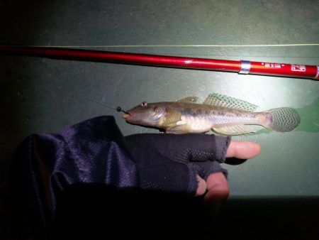 かもめ大橋＆フェリーターミナル