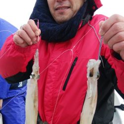 第二美丸　ヤリイカ狙い