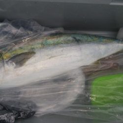 第二美丸　ブリ狙い