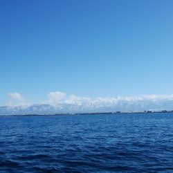 第二美丸　ブリ狙い