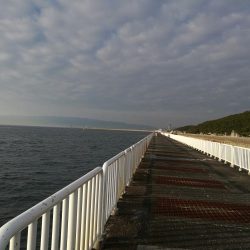ヘチ釣りin南港海釣り公園　～久々の南港釣り公園