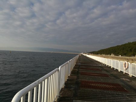 ヘチ釣りin南港海釣り公園　～久々の南港釣り公園