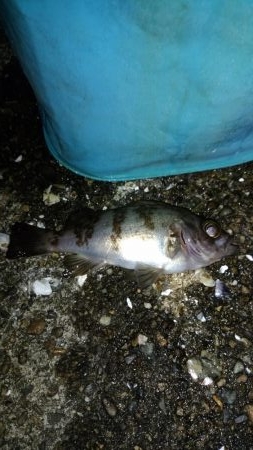 ライトゲームランガン