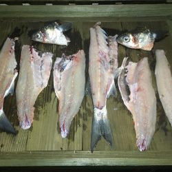 夜中に初めての港で釣行