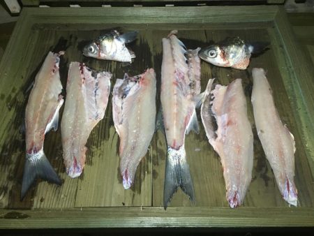 夜中に初めての港で釣行