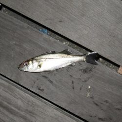 爆風に耐える！