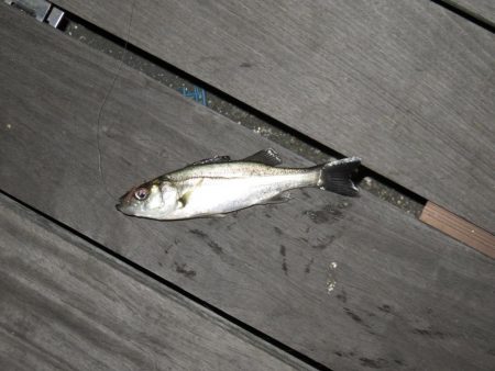 爆風に耐える！