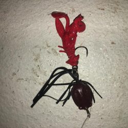 チニングシーズン開幕？