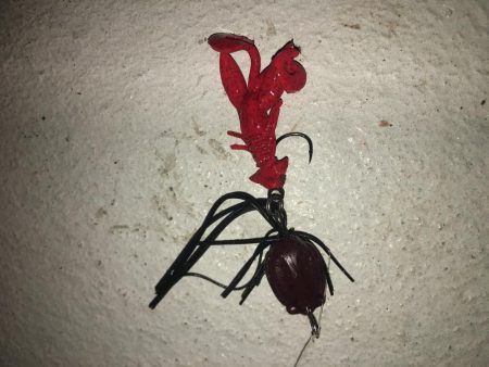 チニングシーズン開幕？