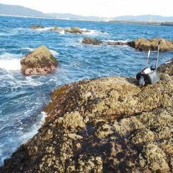 チヌ祭り始まりました・・・・