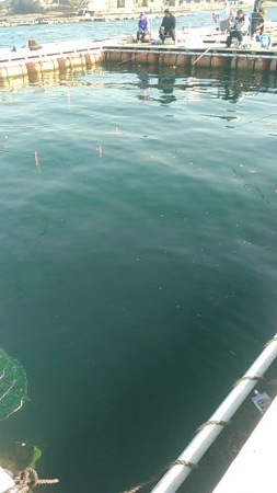 カタタの釣りで初釣り