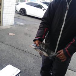 過去最高アベレージ