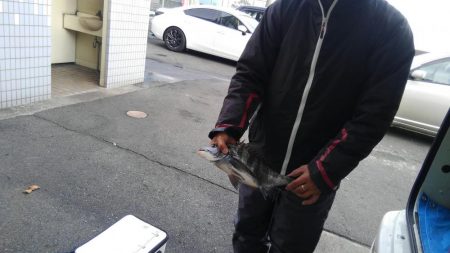 過去最高アベレージ