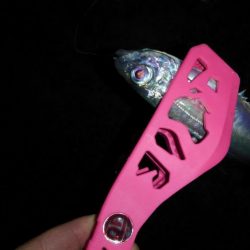 サビキからのアジング