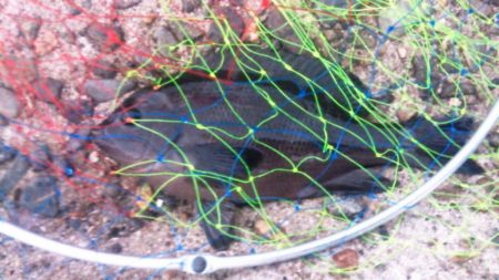 満足の釣り納め