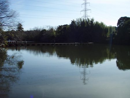 大安トラウトレイク 釣果