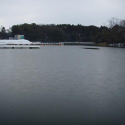 大安トラウトレイク 釣果