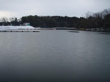 大安トラウトレイク 釣果