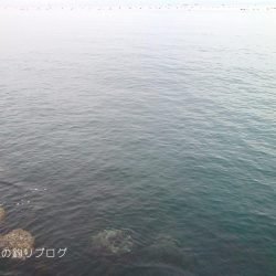 初釣りは小チヌゲット！