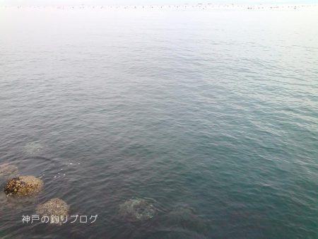 初釣りは小チヌゲット！