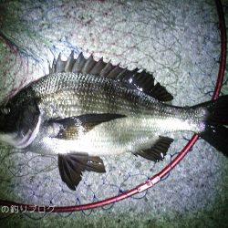 寒チヌ4枚ゲット！