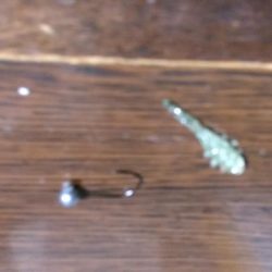 メバルを見つけれずにいると中アジが来襲。