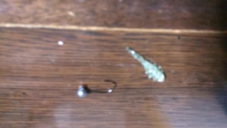 メバルを見つけれずにいると中アジが来襲。