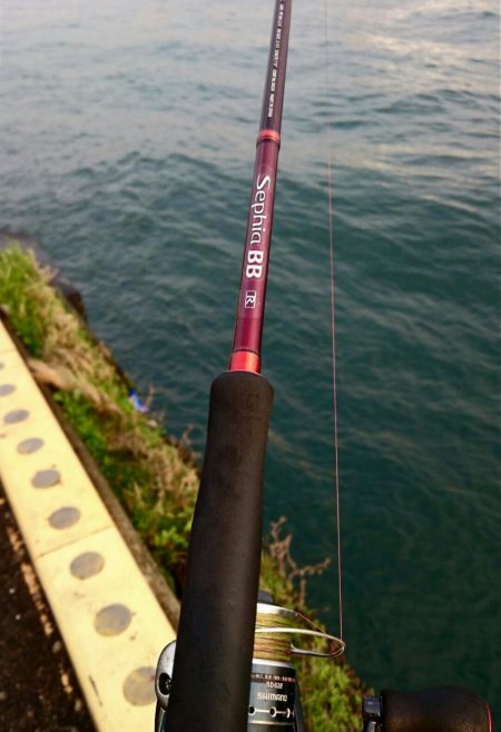 ◯やっとフィッシュオン