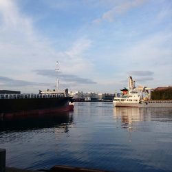 ⚫年明け湾奥タチウオ