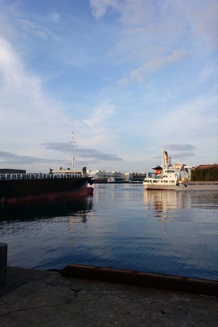 ⚫年明け湾奥タチウオ