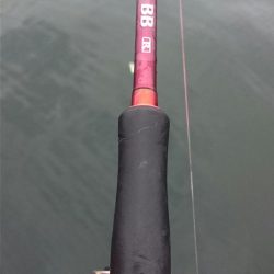 ◯これで今シーズン本当に最後