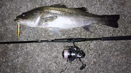 シーバスゲット