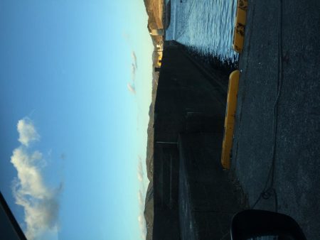 今年初の小浦一文字