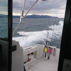 ジギング初め！