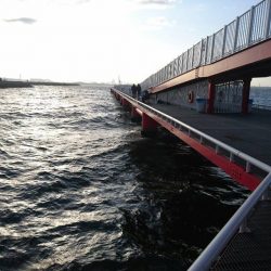 極寒の釣り公園