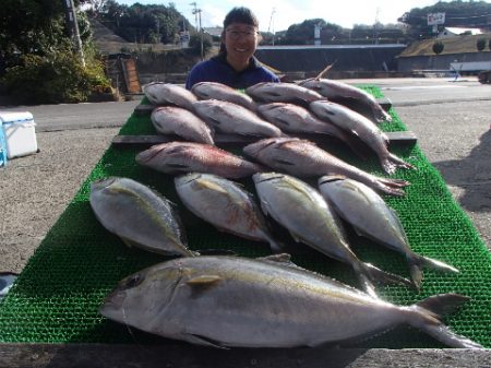 カタタのつり堀 釣果