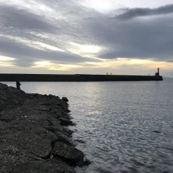 1時間限定メバリング