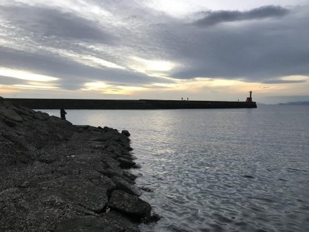 1時間限定メバリング