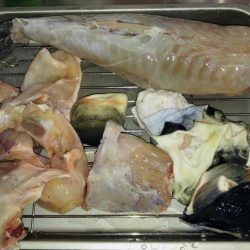 冬の釣り堀田尻