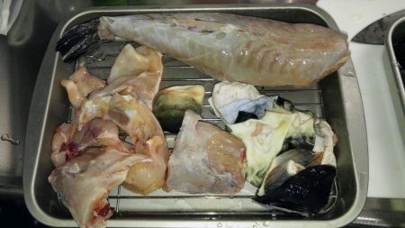 冬の釣り堀田尻