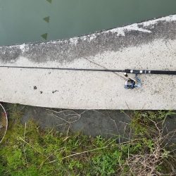 和田川への釣行