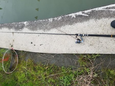 和田川への釣行