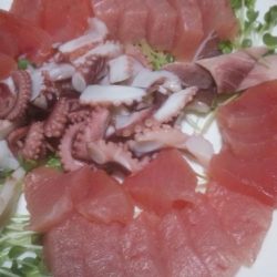 石津浜　ヤリイカまだまだ釣れます。湾内ではタコ