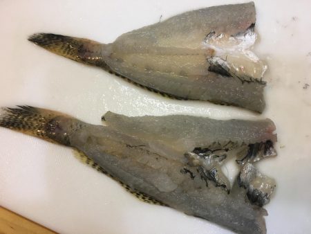 冬のフェリーターミナルにて