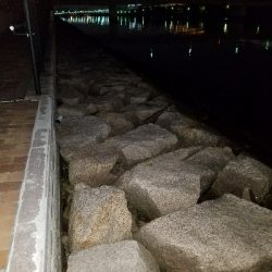 寒い中の短時間勝負！勝ちました