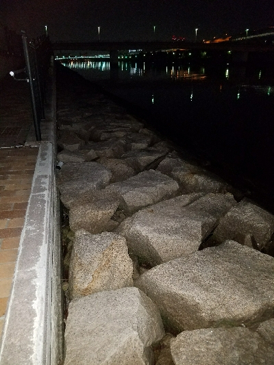 寒い中の短時間勝負！勝ちました